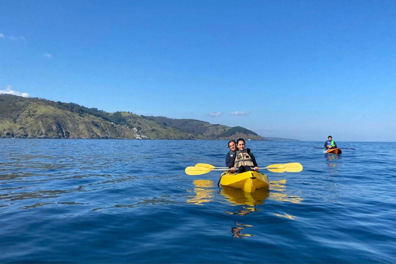 kayak redimensionado